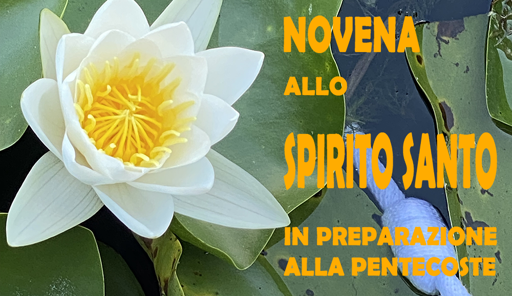 Clarisse Francescane Missionarie del Santissimo Sacramento - NOVENA