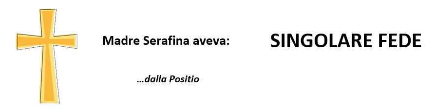 MSfede