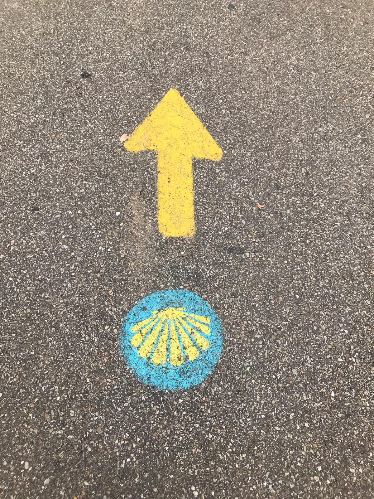 luglioformazionej 2019 13